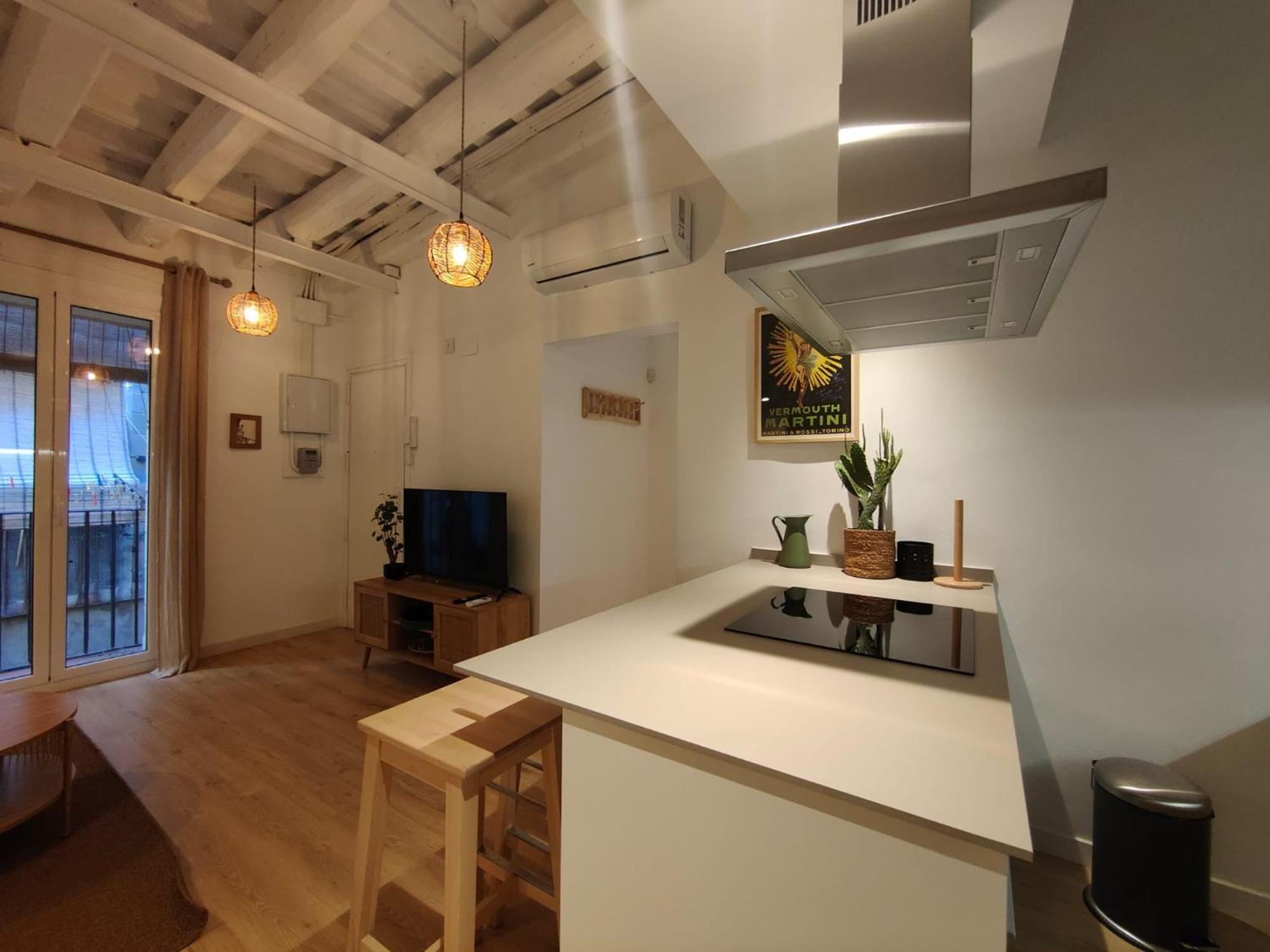 2br Central Location Lejlighed